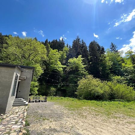 Cozy House In The Forest Bordzjomi Buitenkant foto
