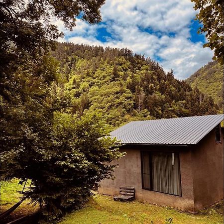Cozy House In The Forest Bordzjomi Buitenkant foto