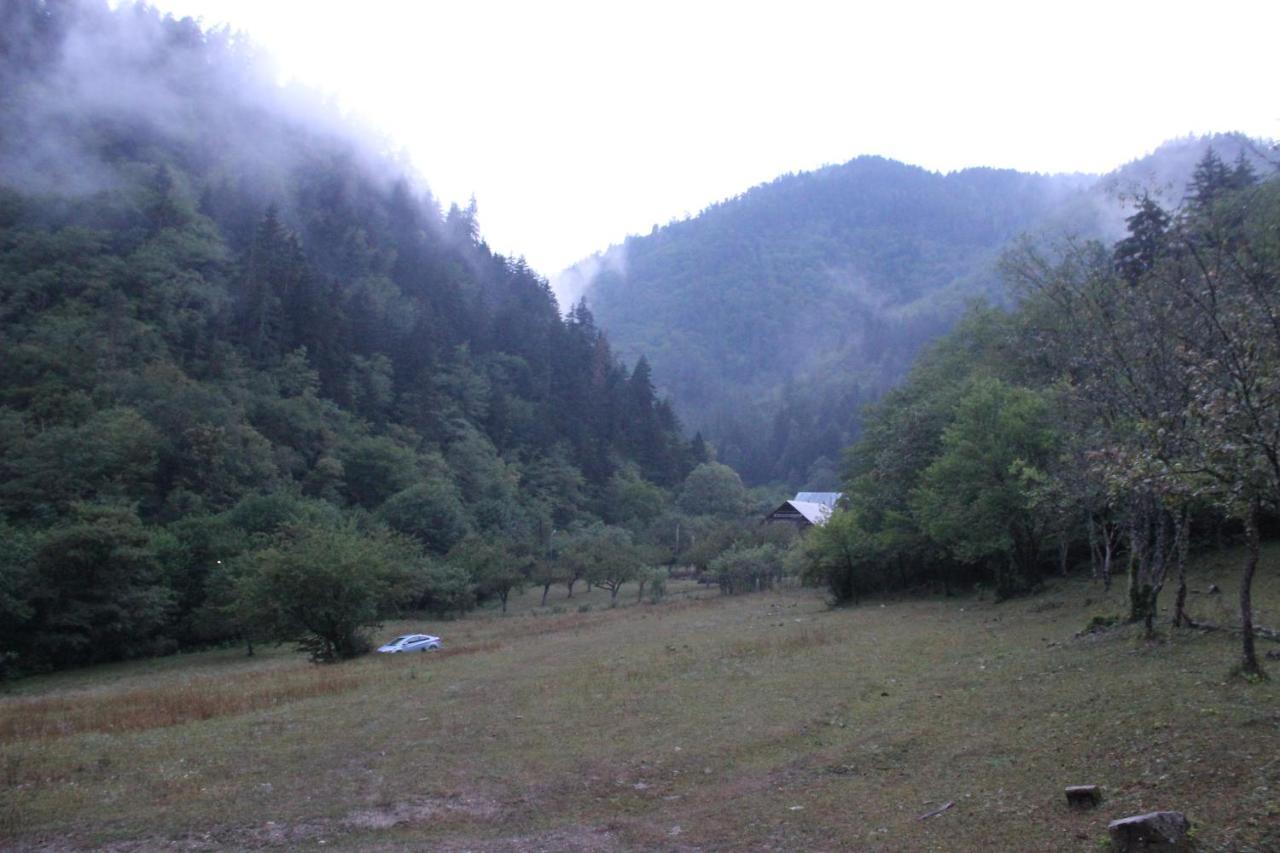 Cozy House In The Forest Bordzjomi Buitenkant foto