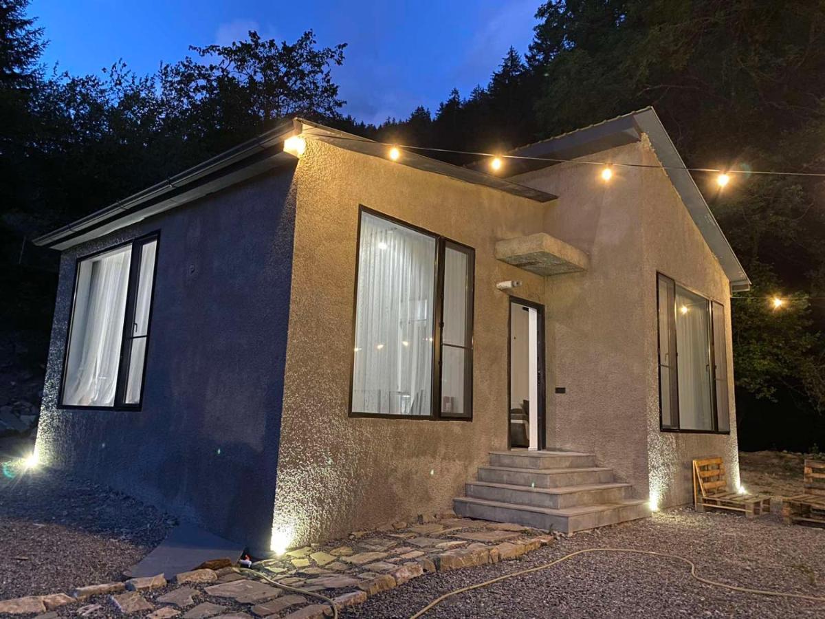 Cozy House In The Forest Bordzjomi Buitenkant foto