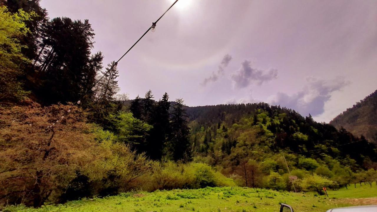 Cozy House In The Forest Bordzjomi Buitenkant foto