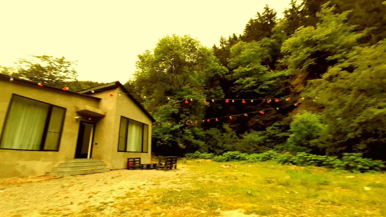 Cozy House In The Forest Bordzjomi Buitenkant foto
