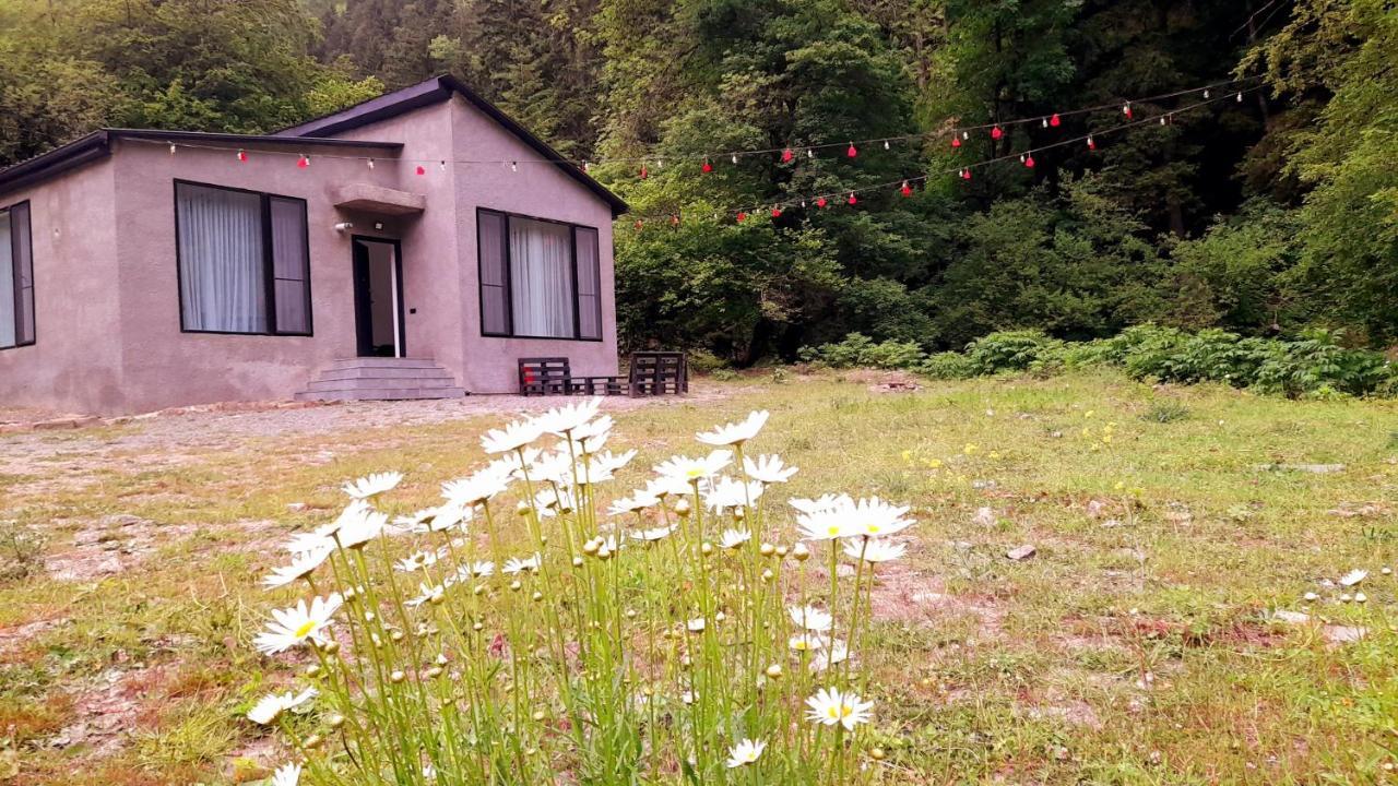 Cozy House In The Forest Bordzjomi Buitenkant foto