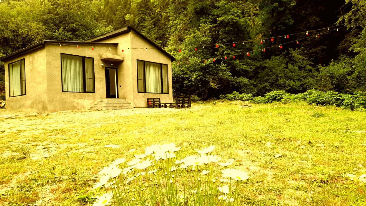 Cozy House In The Forest Bordzjomi Buitenkant foto
