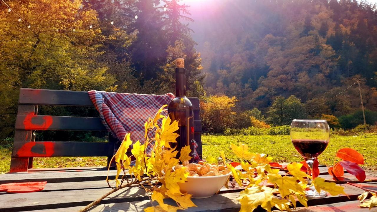 Cozy House In The Forest Bordzjomi Buitenkant foto