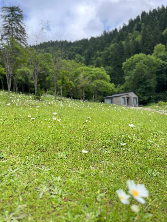 Cozy House In The Forest Bordzjomi Buitenkant foto
