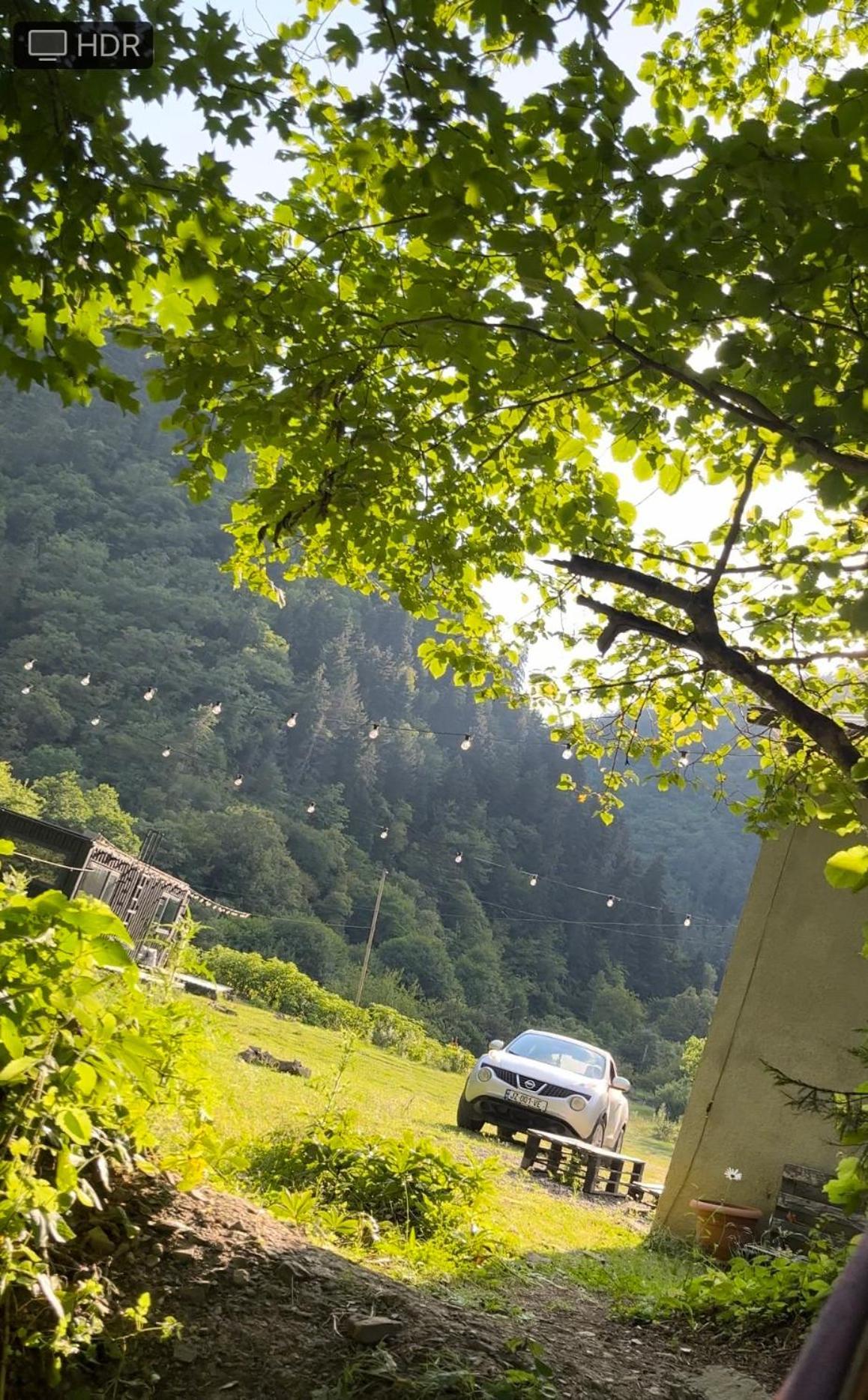 Cozy House In The Forest Bordzjomi Buitenkant foto