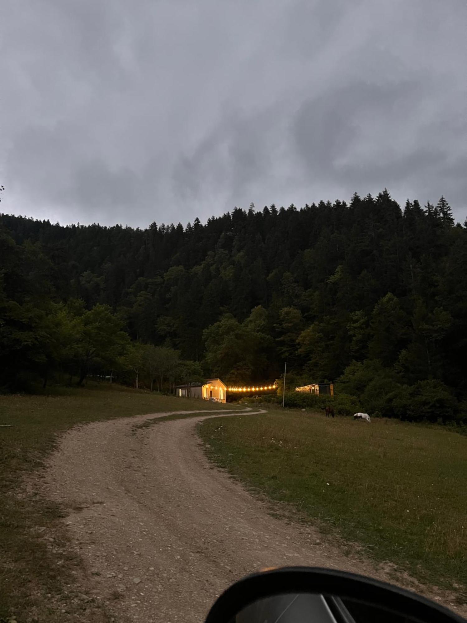 Cozy House In The Forest Bordzjomi Buitenkant foto