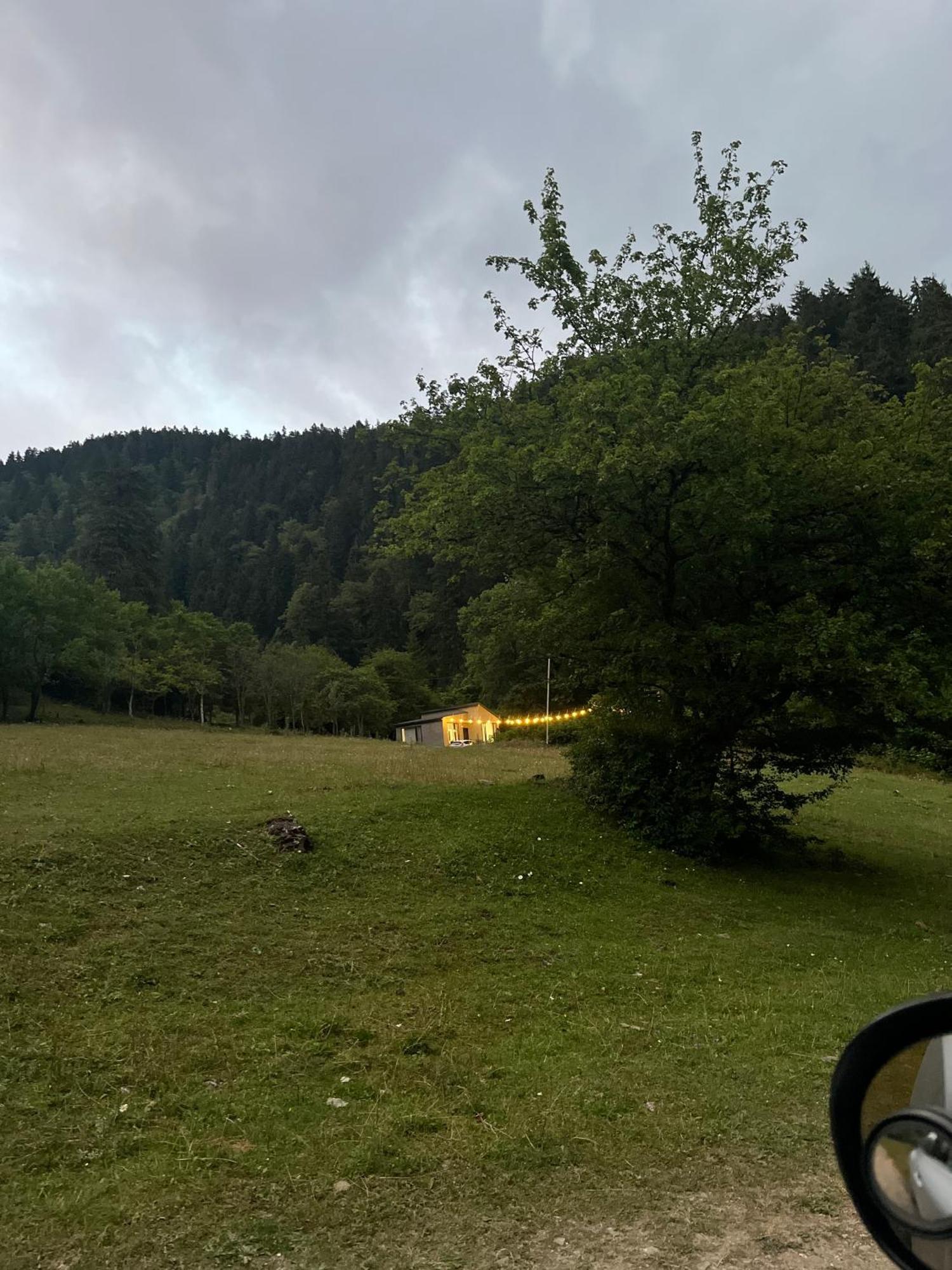Cozy House In The Forest Bordzjomi Buitenkant foto