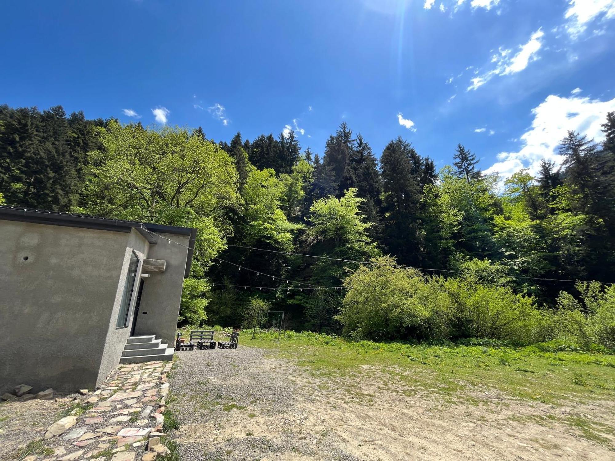 Cozy House In The Forest Bordzjomi Buitenkant foto