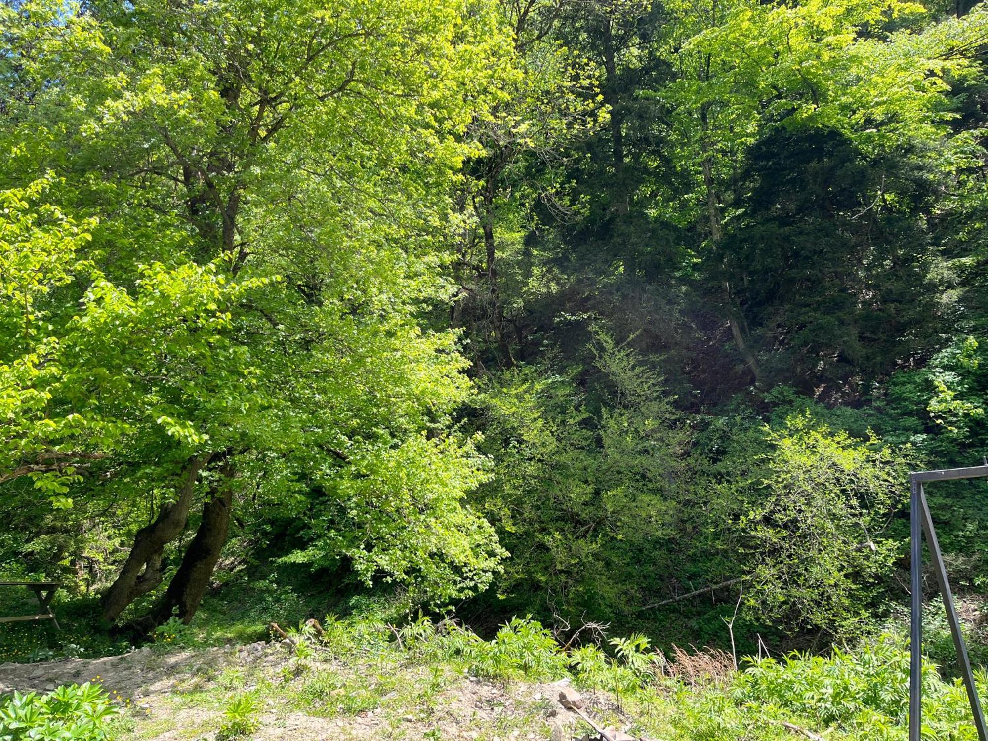 Cozy House In The Forest Bordzjomi Buitenkant foto