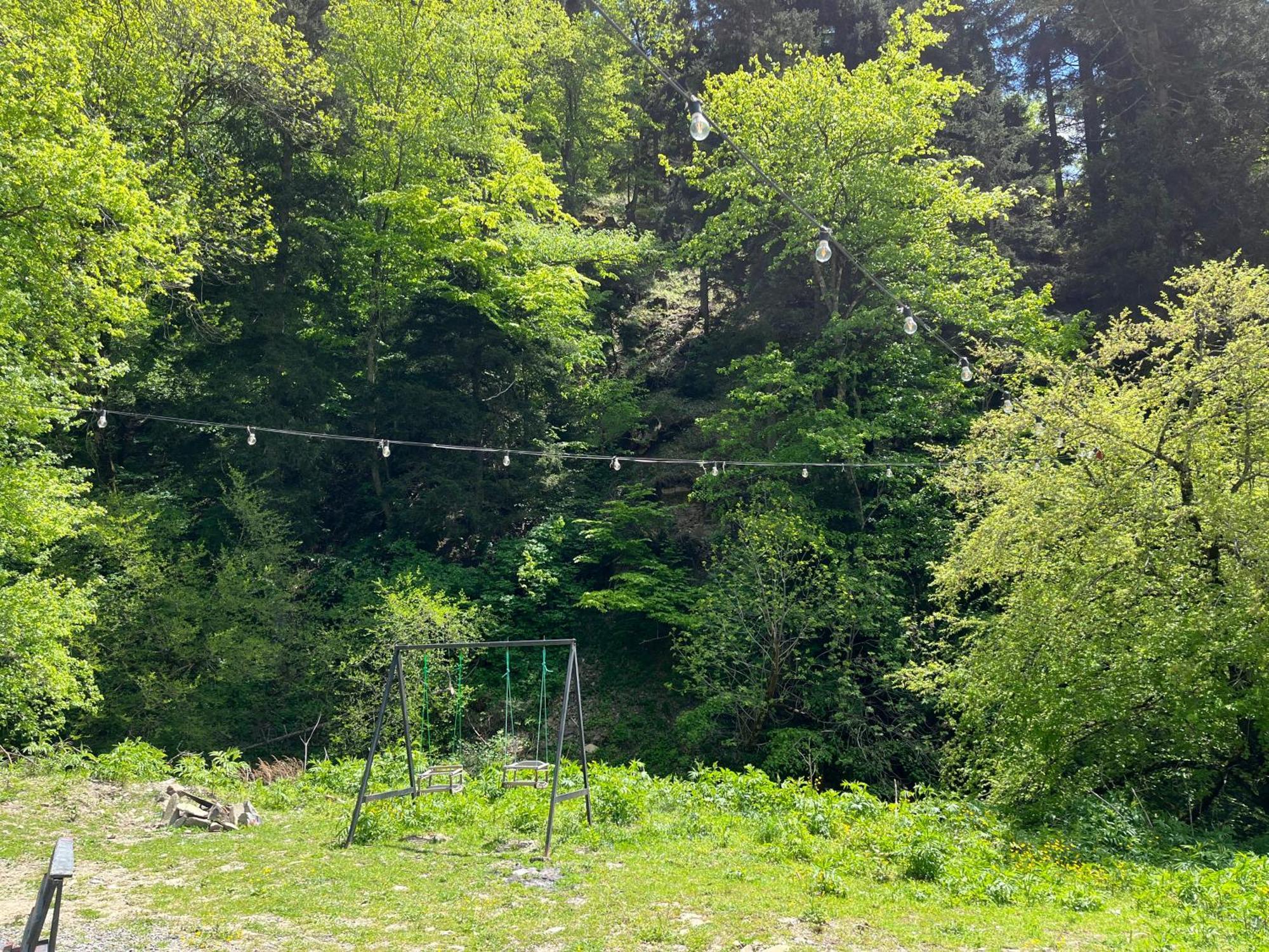 Cozy House In The Forest Bordzjomi Buitenkant foto