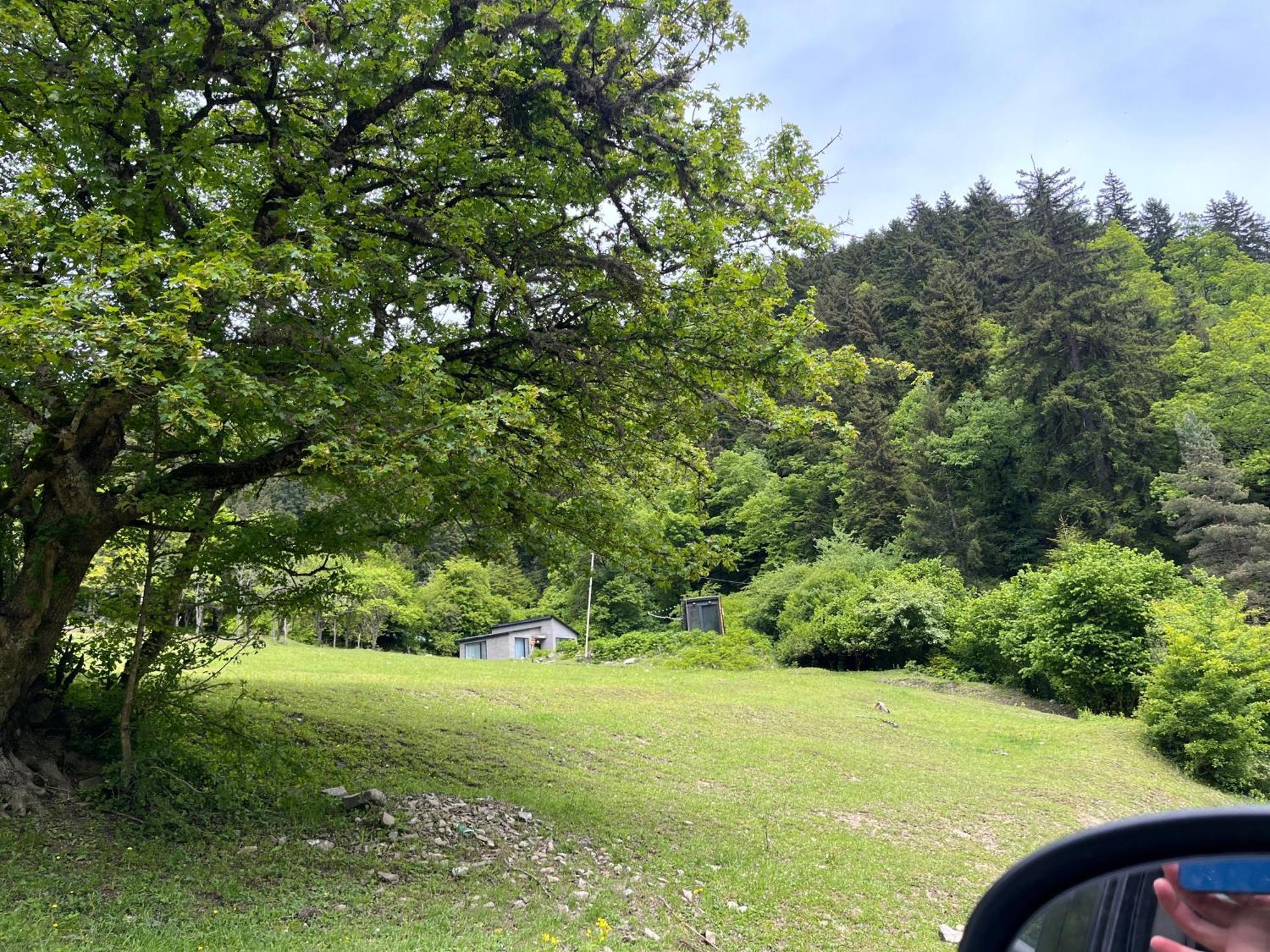 Cozy House In The Forest Bordzjomi Buitenkant foto