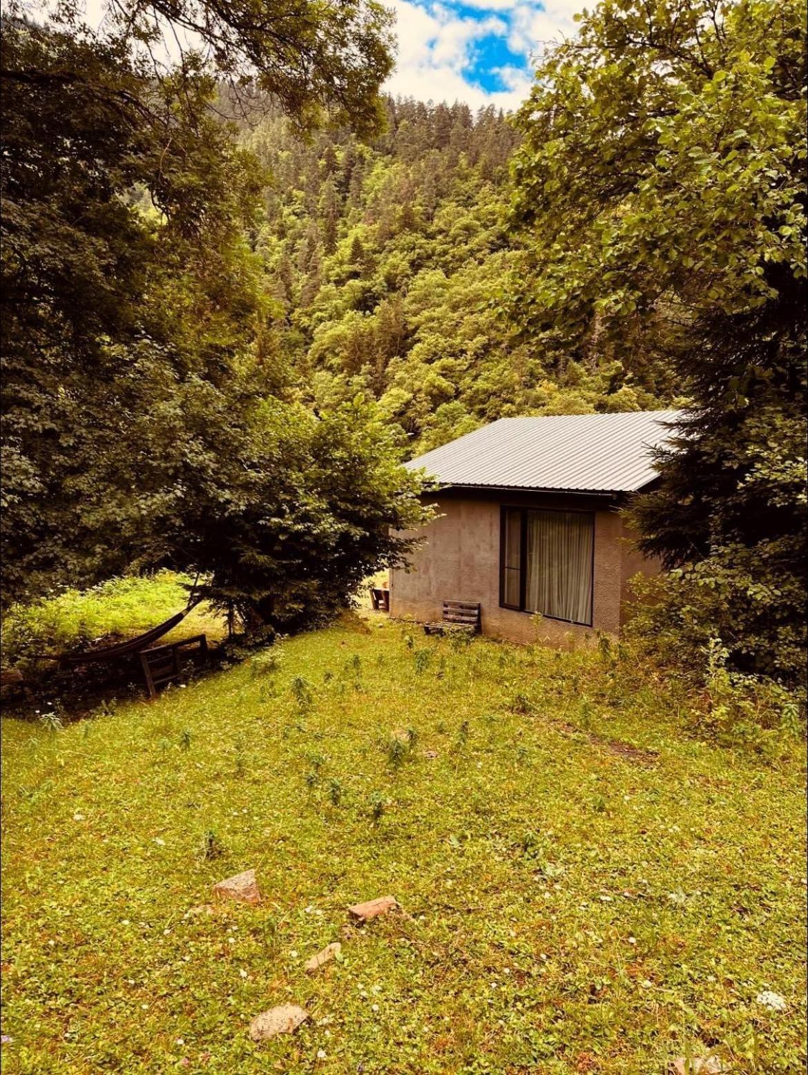 Cozy House In The Forest Bordzjomi Buitenkant foto