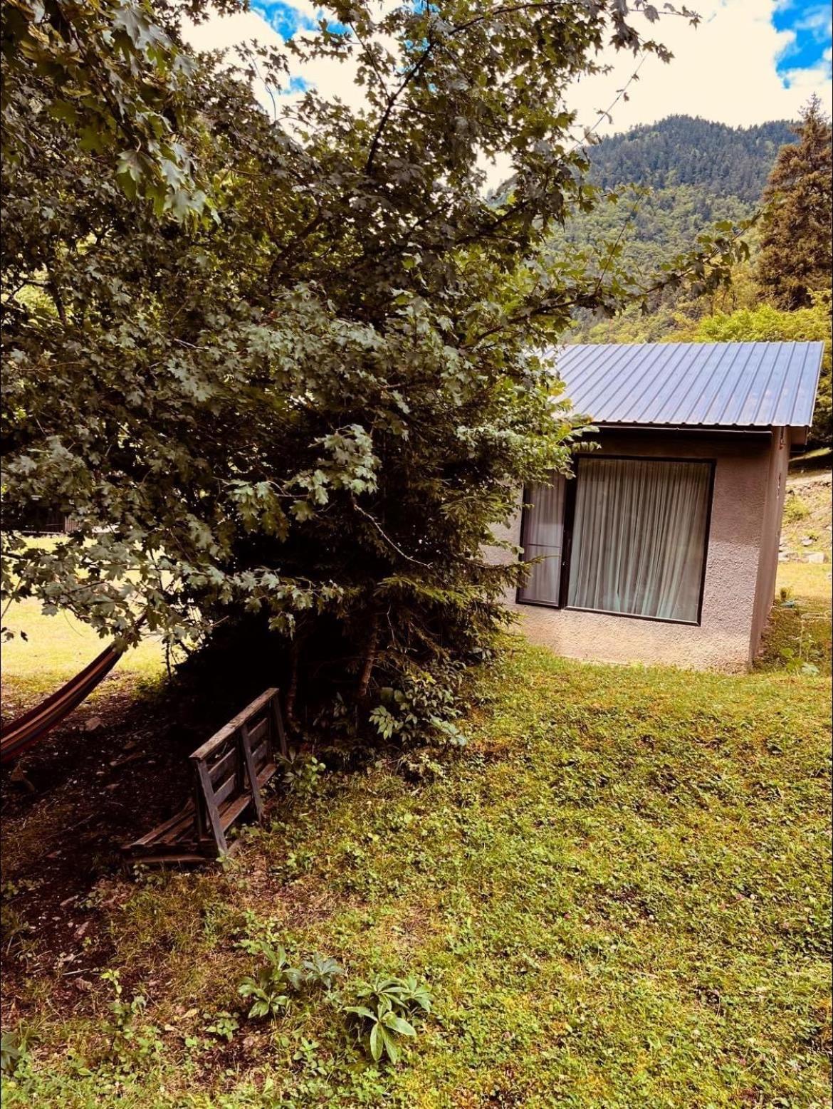 Cozy House In The Forest Bordzjomi Buitenkant foto
